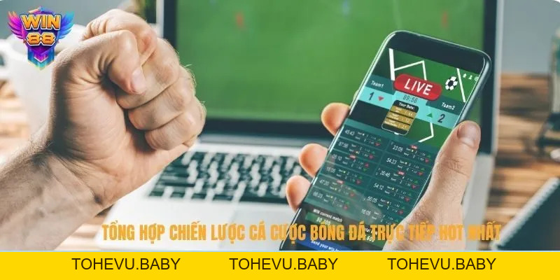 Tổng Hợp Chiến Lược Cá Cược Bóng Đá Trực Tiếp Hot Nhất