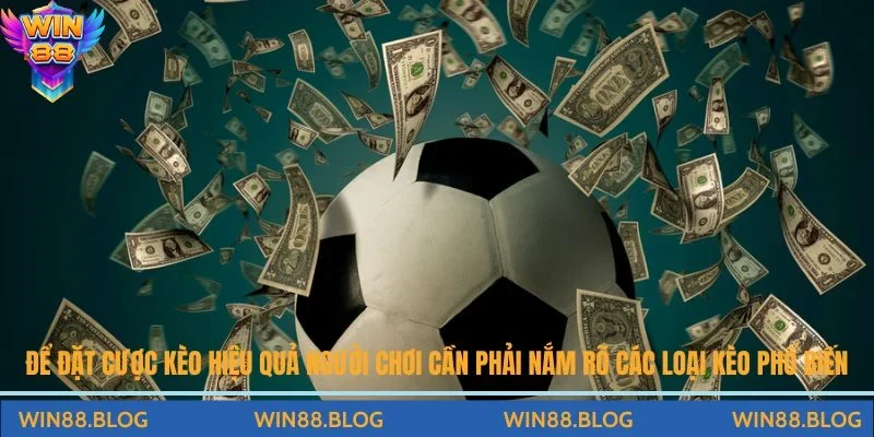 Mẹo Đặt Cược Kèo Châu Á Hiệu Quả Tăng Cơ Hội Chiến Thắng