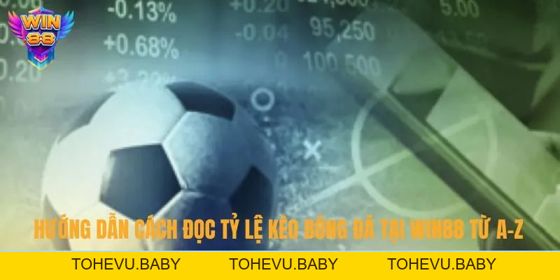 Thể Thao - Chuyên Mục Game Cá Cược Đỉnh Cao Hiện Nay