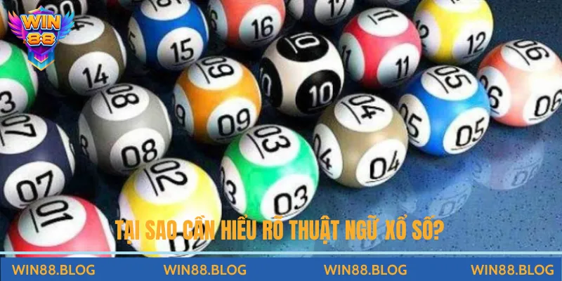 Giải Mã Thuật Ngữ Xổ Số Cần Hiểu Rõ Khi Chơi