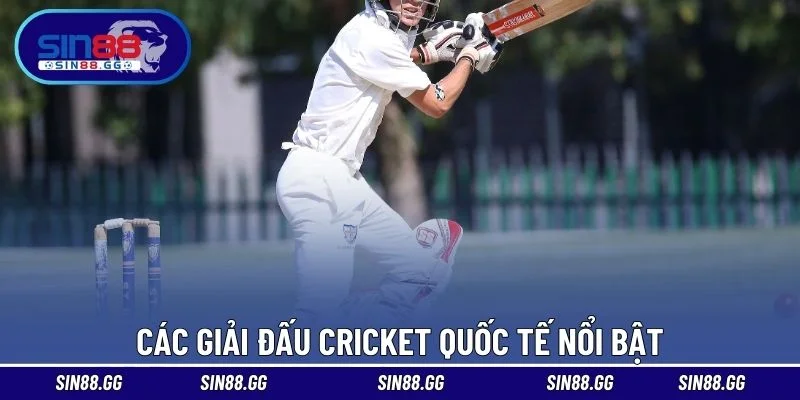 Cricket Là Môn Thể Thao Gì – Cách Cá Cược Chuẩn Xác