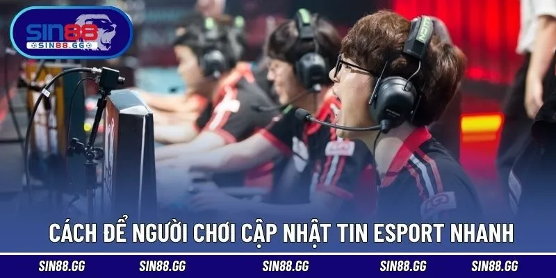 Tin Tức Esport - Cập Nhật Nhanh Chóng Bộ Môn Thể Thao Điện Tử