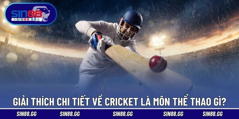 Cricket Là Môn Thể Thao Gì – Cách Cá Cược Chuẩn Xác