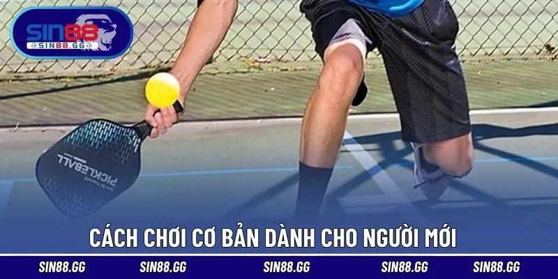 Thể Thao Pickleball Là Gì? Môn Chơi Đang Gây Sốt Toàn Cầu