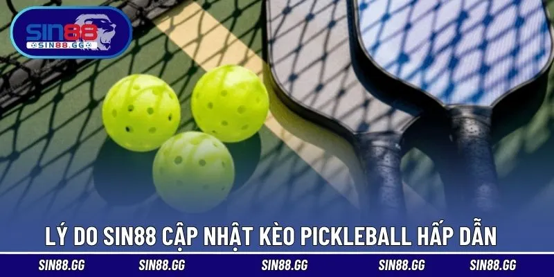 Thể Thao Pickleball Là Gì? Môn Chơi Đang Gây Sốt Toàn Cầu