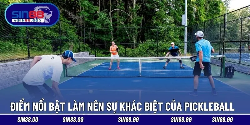 Thể Thao Pickleball Là Gì? Môn Chơi Đang Gây Sốt Toàn Cầu