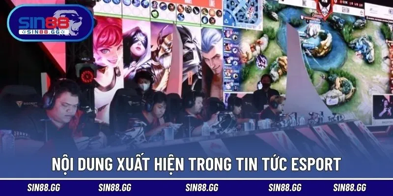 Tin Tức Esport - Cập Nhật Nhanh Chóng Bộ Môn Thể Thao Điện Tử