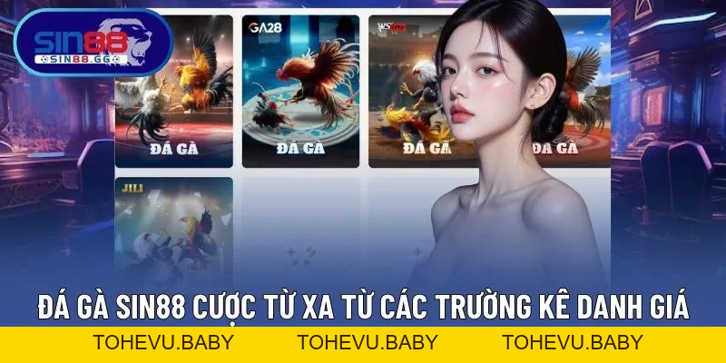 SIN88 COM - Nhà Cái Cược Thể Thao Uy Tín Singapore