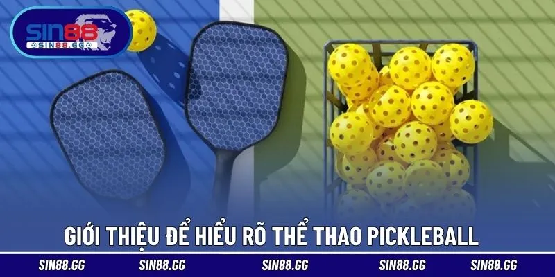 Thể Thao Pickleball Là Gì? Môn Chơi Đang Gây Sốt Toàn Cầu