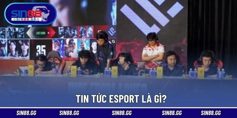 Tin Tức Esport - Cập Nhật Nhanh Chóng Bộ Môn Thể Thao Điện Tử