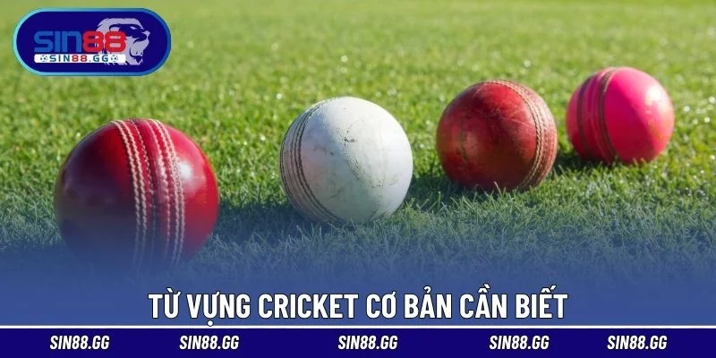 Cricket Là Môn Thể Thao Gì – Cách Cá Cược Chuẩn Xác